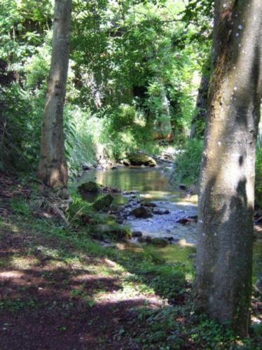 B&B Zum Schiff Beggingen Kültér fotó